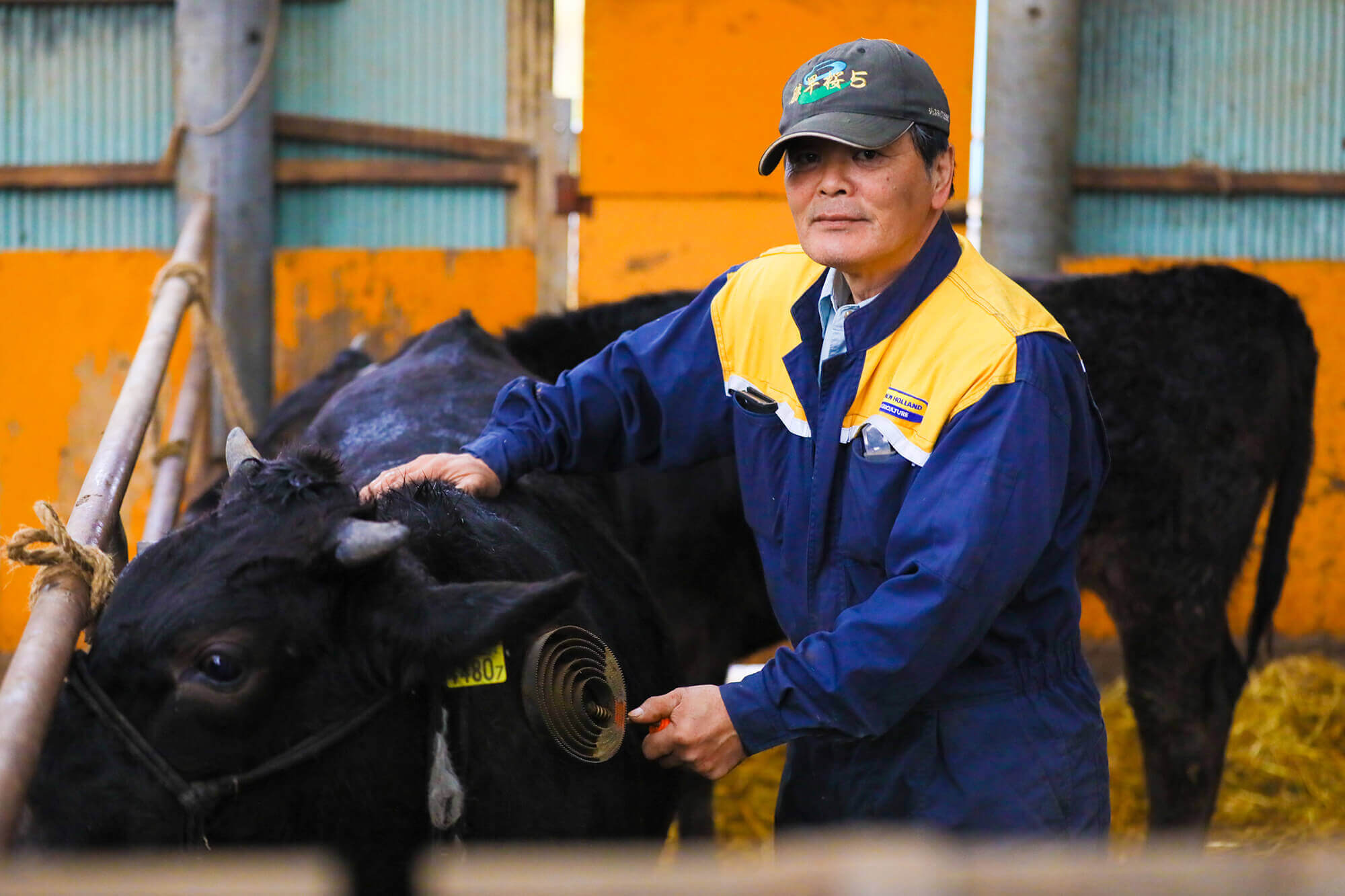 たがいの牧場の様子